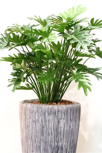 Pflanzenpflege bei Otto Blumen