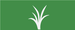 textilpflanzen-icon