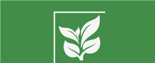vertikale-begruenungssysteme-icon